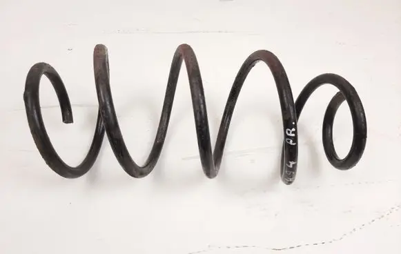 Front coil spring