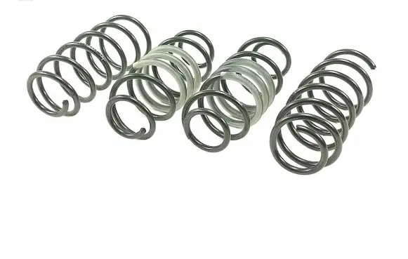 Mitsubishi Colt Front coil spring 10-60-011-01-22