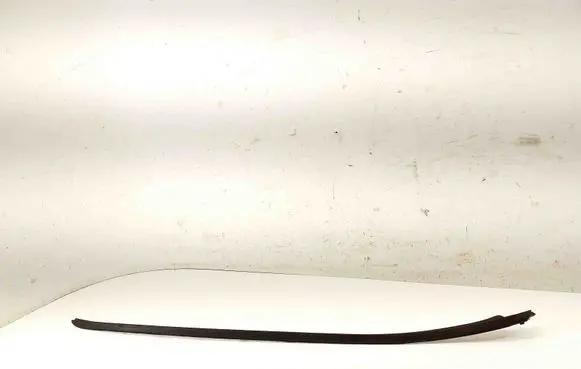 Ford Fiesta Windshield trim 