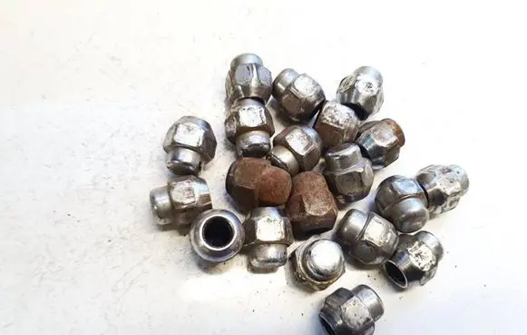 Nuts/bolts