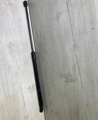 Tailgate strut