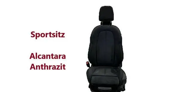 BMW X1 F48 F49 Front driver seat ALCANTARAANTHRAZIT MICROHEXAGON ANTHRACITE