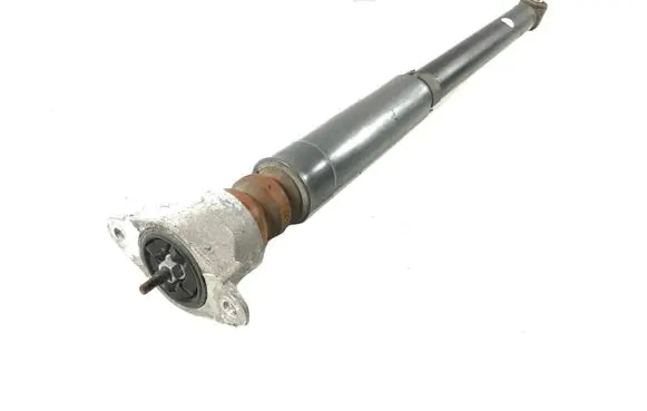 Ford B-MAX Rear shock absorber/damper AP3118080BG AY115K570AA AY1118159AA
