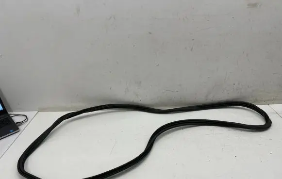 Trunk rubber seal (body)