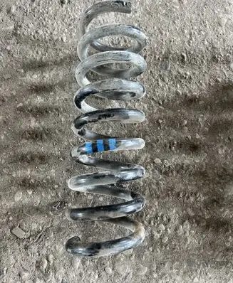 Rear coil spring