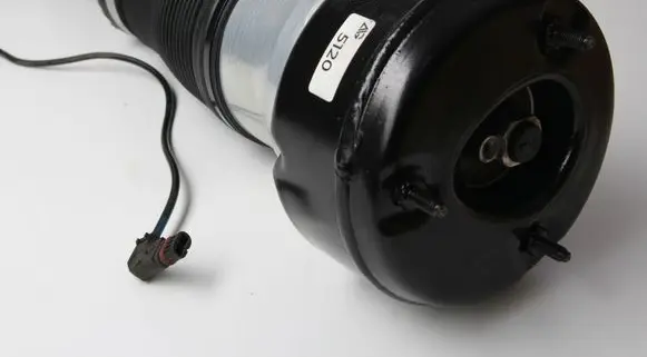 Mercedes-Benz S W221 Air suspension front shock absorber 221320931389 A221320931389 A221320931300