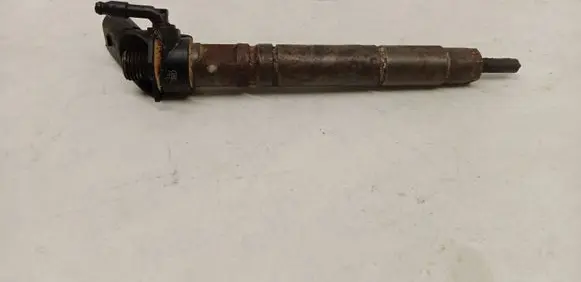 Mercedes-Benz GL X164 Fuel injector A6290700087 0445115015