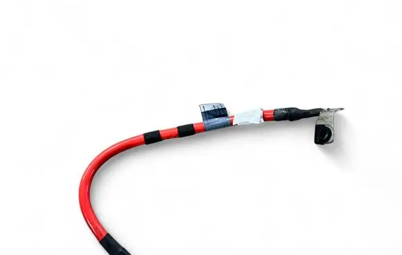 BMW 3 G20 G21 Positive cable (battery) 10304410 8796155 E48860