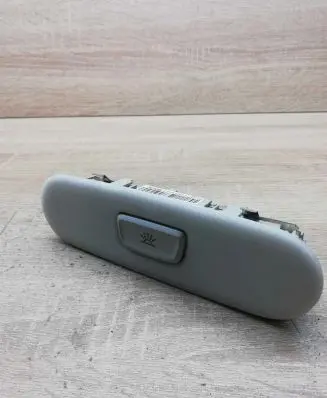 Rear seat light