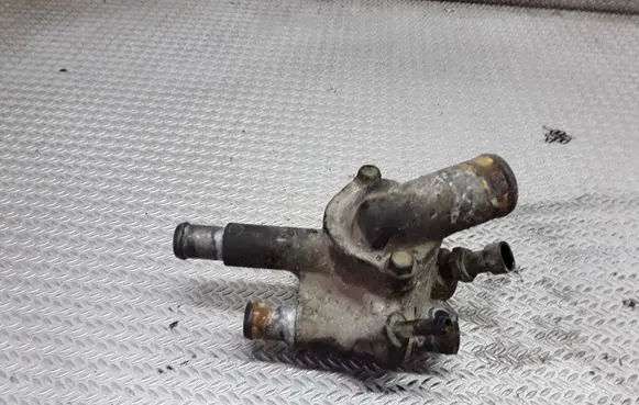 Thermostat/thermostat housing
