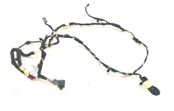 Front door wiring loom