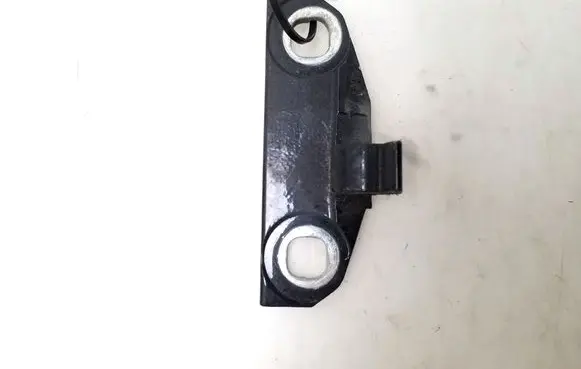 Volvo S80 Rear door lower hinge 
