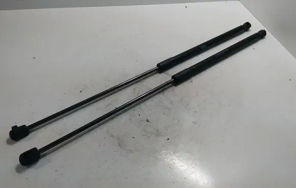 Tailgate strut