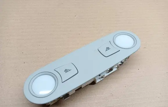 Rear seat light