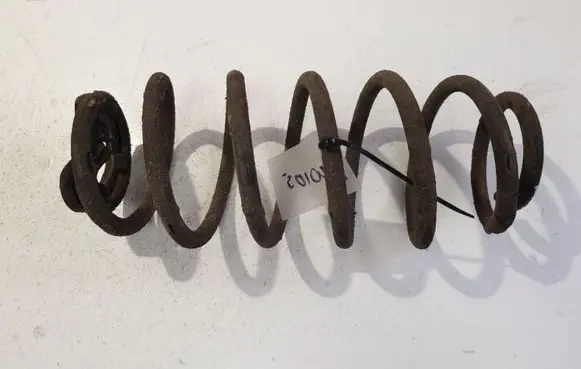 Rear coil spring