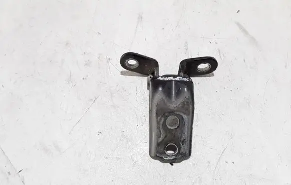 Hyundai Santa Fe Front door lower hinge 