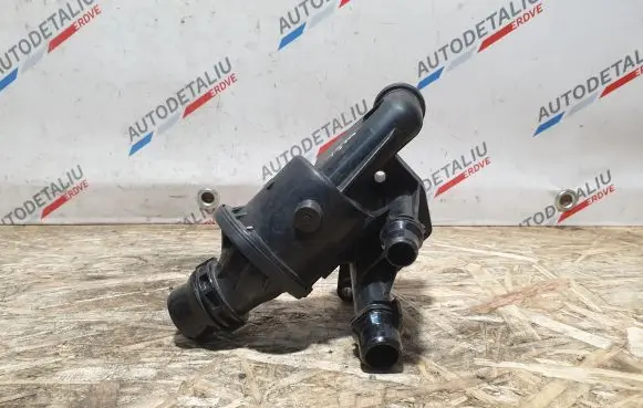 Thermostat/thermostat housing