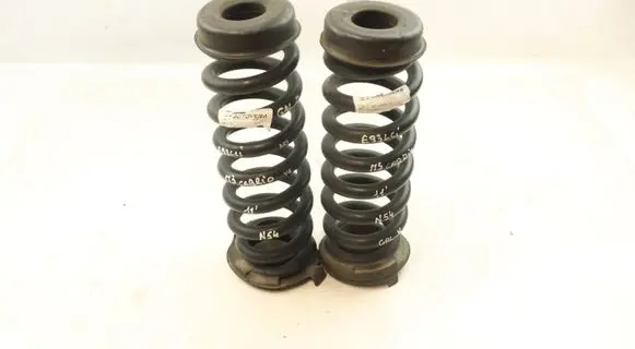 Rear coil spring