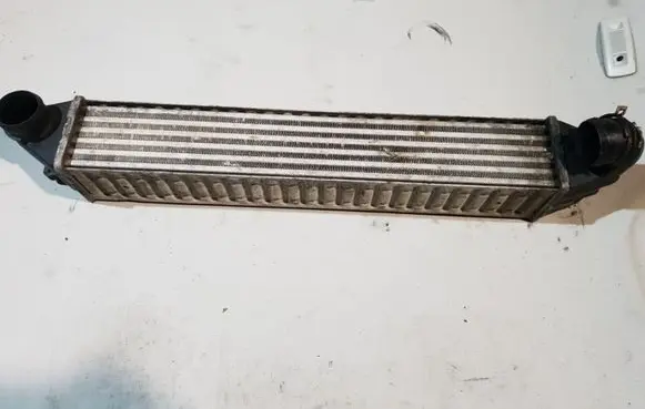 Volkswagen Sharan Intercooler radiator 7M3145805