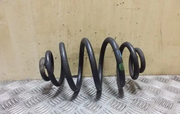 Rear coil spring