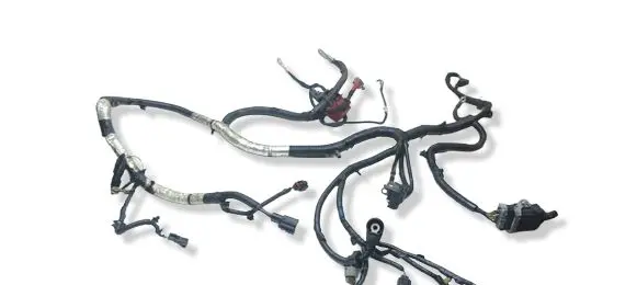 Engine installation wiring loom