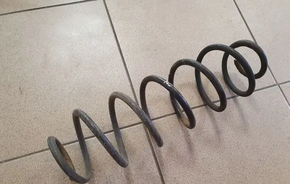Rear coil spring