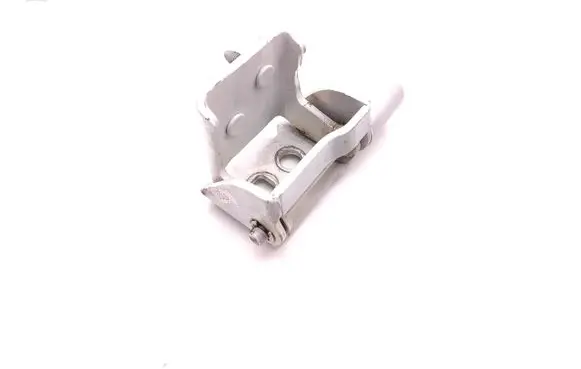 Rear door lower hinge