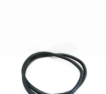 Volkswagen ID.3 Rubber seal front door (on door) 10A847911