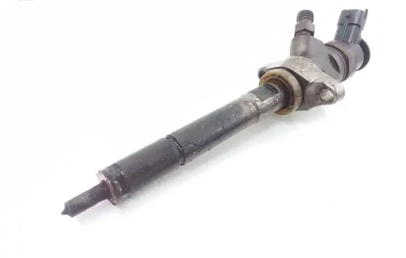 Citroen Berlingo Fuel injector 0445110297