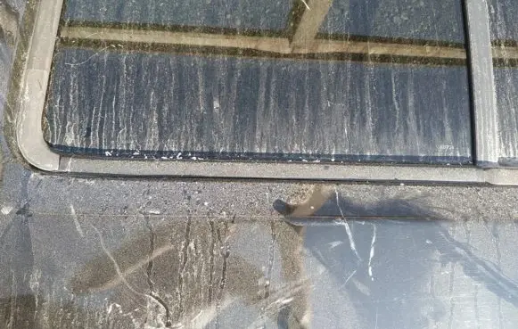 Nissan Pathfinder R51 Rear door glass trim molding