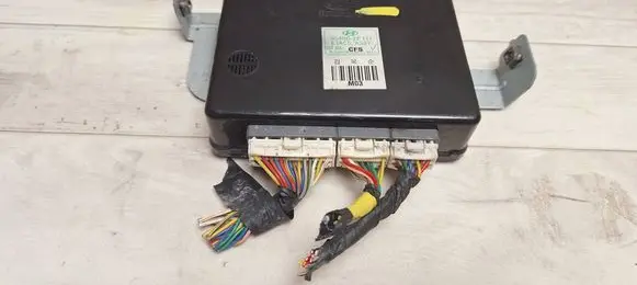 Hyundai Tucson JM Other control units/modules 954002E111