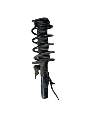 Ford C-MAX II Front shock absorber with coil spring BV6118045LB