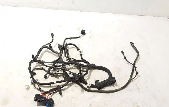 Renault Kangoo III Other wiring loom 240119961S