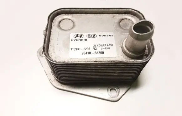 Hyundai ix35 Oil filter mounting bracket 264102A300