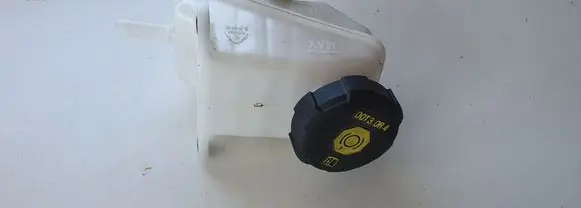 Hyundai Ioniq Coolant expansion tank/reservoir