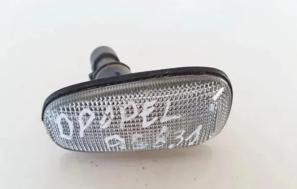 Front fender indicator light