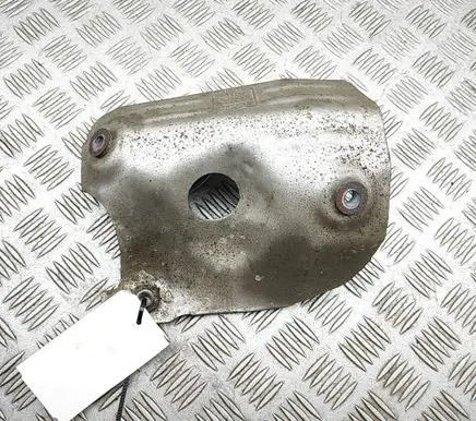 Hyundai Santa Fe Heat shield in engine bay 285252F000