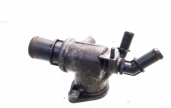 Thermostat/thermostat housing