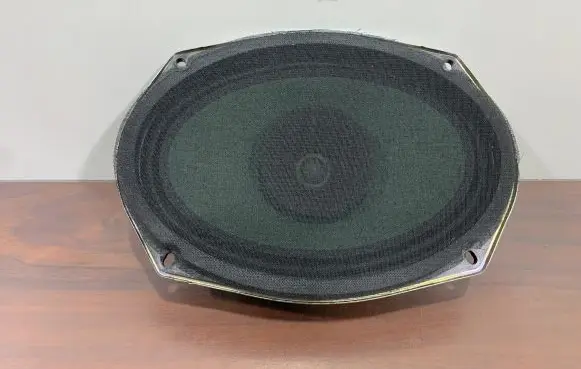 Chrysler Pacifica Front door speaker 05091019AB