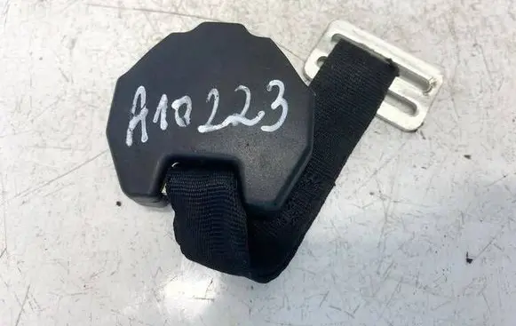 Middle seatbelt buckle (rear)