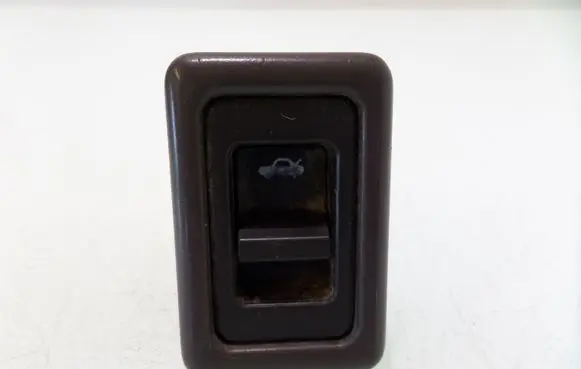 Nissan Terrano Tailgate opening switch 