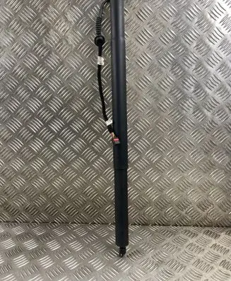 Tailgate/trunk strut/damper
