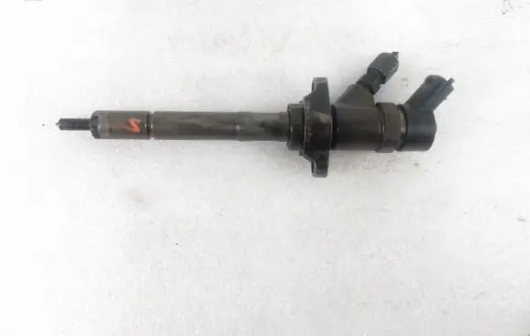 Citroen C5 Fuel injector 0445110259