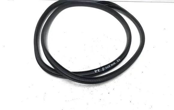 Renault Scenic E-Tech V Front door rubber seal 