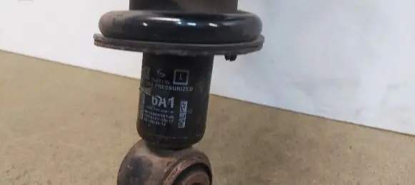 Acura MDX III Rear shock absorber with coil spring 