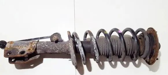 Opel Antara Front coil spring