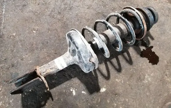 Renault Clio II Front shock absorber with coil spring