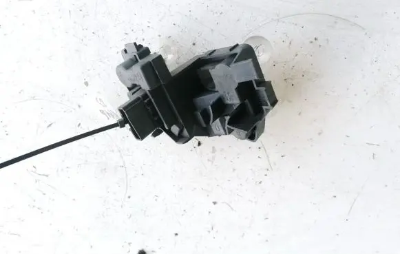 Peugeot 206 Tail light bulb cover holder