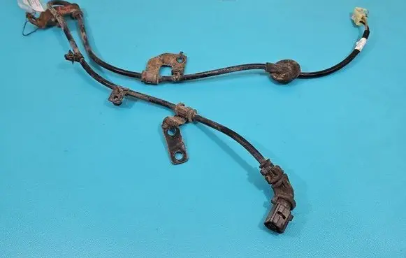 Other wiring loom