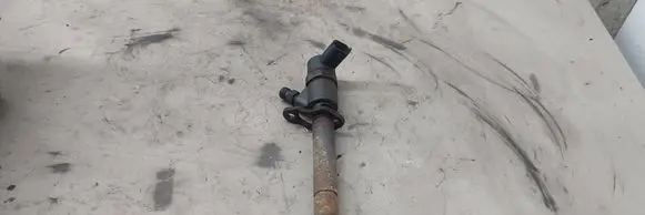 Volvo V70 Fuel injector 0445110298